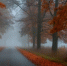 Облачная с прояснениями погода ожидается в Белгородской области в выходные - Сетевое издание Знамя 31