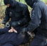 Житель Кубани сжёг дом соседа из-за громкой музыки - KrasnodarMedia