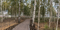 Новые пространства и пешеходные пути появились в городском парке благодаря нацпроекту - Газета Новгород
