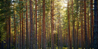 Картинка - Regions.Ru