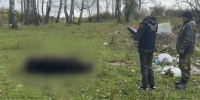 В Красноярском крае медведь загрыз женщину около ее дома - tvspb.ru - ТК Санкт-Петербург