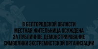В Белгородской области местная жительница осуждена за публичное демонстрирование символики экстремистской организации - Следственный комитет