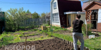 Погреб не спасет урожай: советы по сохранению овощей с дачи опытного огородника из Йошкар-Олы - Pg12.Ru