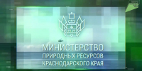 Министерство природных ресурсов Краснодарского края информирует о соблюдении правил пожарной безопасности в лесах - Министерство природных ресурсов