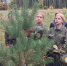 Картинка - Regions.Ru