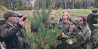 Картинка - Regions.Ru