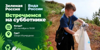 Наведем «изумрудную» чистоту на Центральном субботнике осени! - Министерство экологии