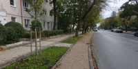В Калининграде восстанавливают последнюю сохранившуюся велодорожку Кёнигсберга (фото) - NewKaliningrad.Ru