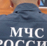 Ситуацию с нашествием медведей обсудили в Правительстве региона - ГТРК Поморье