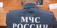 Ситуацию с нашествием медведей обсудили в Правительстве региона - ГТРК Поморье