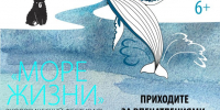 Гигантский кит, череп моржа и морская почта: чем заняться на фестивале «Море жизни» в Елизове - КамИНФОРМ