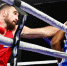 Сборная России выиграла медальный зачет чемпионата Европы по боксу - M24.Ru