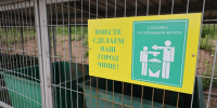 На уборку свалок в Центральном районе Красноярска выделят еще 8 миллионов рублей - Наш Красноярский край