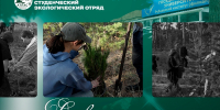 1 - Рубцовский филиал АлтГУ