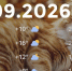 Bazaart_2026-09-25_104752 - ЗА Новомосковск