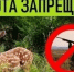 В Калужской области с 28 сентября запретят охоту - Калужский перекрёсток