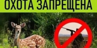 В Калужской области с 28 сентября запретят охоту - Калужский перекрёсток