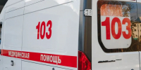 Фото: Алина Дьякова/«Ямал-Медиа». - Ямал-Медиа