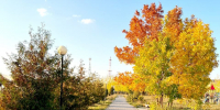 26 сентября 2026: какие праздники отмечают в этот день - Нурлат-⁠информ