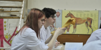 Компенсацию на обучение в колледжах получат дети из многодетных семей в РТ - Комсомольская правда Казань