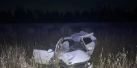 В Татарстане на трассе М-7 автомобиль Kia врезался в лося, пассажирка погибла - РТВ-Подмосковье