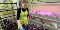 От дронов до полезных суперфудов - Газета Степная нива