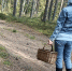 Самое грибное осеннее место нашли в кировских лесах - Город Киров
