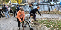 В Хабаровске прошел общегородской субботник - Администрация г. Хабаровска