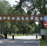В костромской «Берендеевке» 26 сентября ограничат въезд - Комсомольская Правда