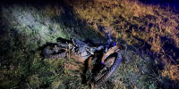 Фото предоставлено пресс-службой прокуратуры Тюменской области - Ямал-Медиа