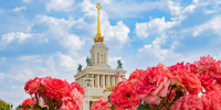 Яркие краски осени: какими цветами можно полюбоваться на ВДНХ - Правительство Москвы