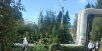 Обустройство тротуара. - ТОС Омска