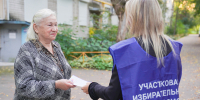Обходчиков на выборах в Иванове пугали не только собаки, но и гуси - Ивановская газета