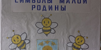 Час краеведения «Символы малой Родины» - Библиотеки Тамбовской области