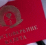 140 воспитанников кадетского училища произнесли клятву в Краснодаре - Газета Краснодарские известия