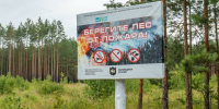 224 возгорания ликвидировали в Татарстане с начала года - Бавлы-информ