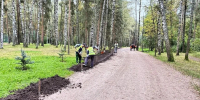 В парке Сосновка отремонтировали ещё тысячу квадратных метров дорожек - Spbdnevnik.ru