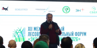 Почти 4000 саженцев высадили участники Международного лесовосстановительного форума «Экосистема Байкала – 2026» - Правительство Иркутской области