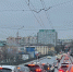 Орловчанка призналась сразу в двух автоугонах - OrelGrad.Ru