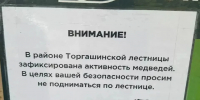 В Красноярске закрыли Торгашинскую лестницу из-за активности медведей - Комсомольская Правда