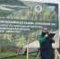 В Лисино-Корпусе высадили 8 тысяч елей в рамках акции «Сохраним лес» - ЛенТВ24