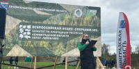 В Лисино-Корпусе высадили 8 тысяч елей в рамках акции «Сохраним лес» - ЛенТВ24