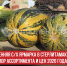 пост 4++ - Cityopen.ru