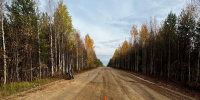 Мотоциклист на Bajaj Boxer без прав доехал до больничной койки - ИА Комиинформ