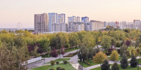27 покусанных клещами волгоградцев за неделю обратились к врачам - Комсомольская правда
