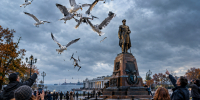 В Севастополе чайки сбили беспилотник над площадью Нахимова - КПРФ
