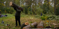 Более 700 человек приняли участие в общегородском субботнике в Вологде - Вологда.РФ