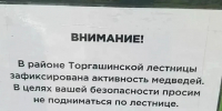 В Красноярске закрыли Торгашинскую лестницу из-за угрозы нападения медведей. фото: мэрия Красноярска - Седьмой канал