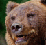 Фото: magnific. com/ru/author/wirestock - News29.Ru