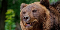 Фото: magnific. com/ru/author/wirestock - News29.Ru